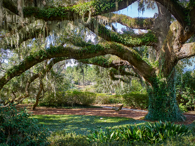 Hilton Head